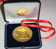 Медаль к диплому "Почетный ученый Рима", 2007
